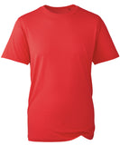 Anthem t-shirt