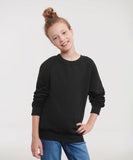Kids raglan sleeve sweatshirt